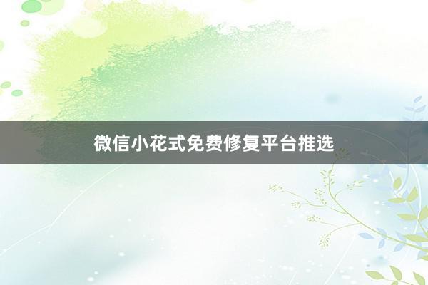 微信小花式免费修复平台推选