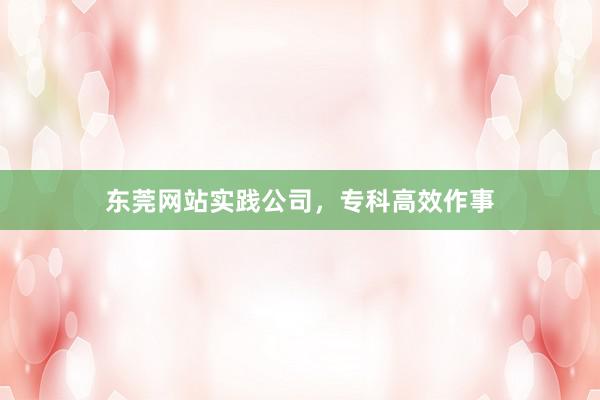 东莞网站实践公司，专科高效作事