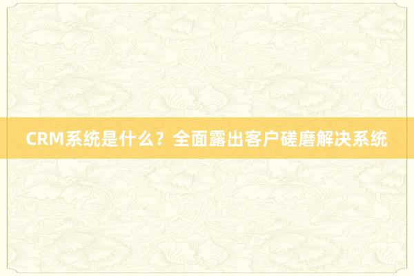 CRM系统是什么？全面露出客户磋磨解决系统