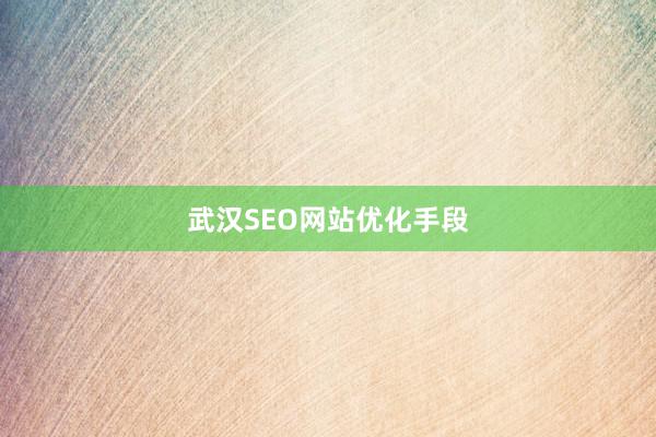 武汉SEO网站优化手段