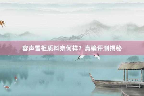 容声雪柜质料奈何样？真确评测揭秘