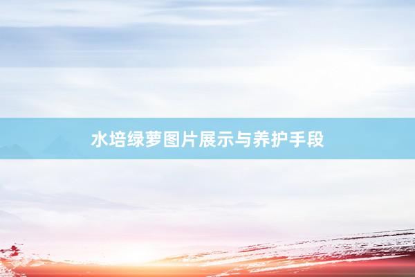 水培绿萝图片展示与养护手段
