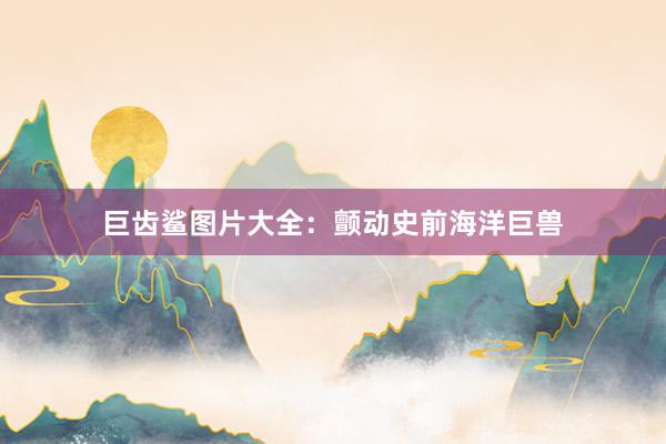 巨齿鲨图片大全：颤动史前海洋巨兽