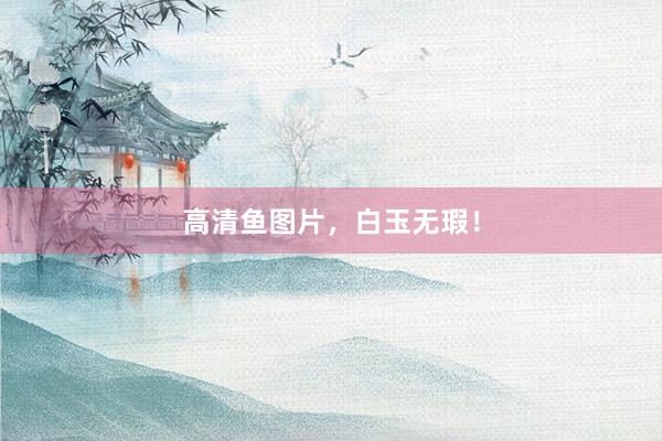 高清鱼图片，白玉无瑕！